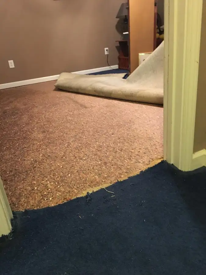 Carpet pad removal revealing water damage during Drying & Dehumidification in North Codorus